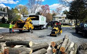 Best Hazardous Tree Removal  in Mcdade, TX